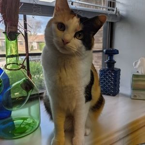 Meet your Posher, MB